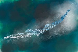 Illustration showing a streamlined swimmer just after they have entered the water after a dive.