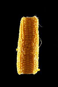 Sweetcorn