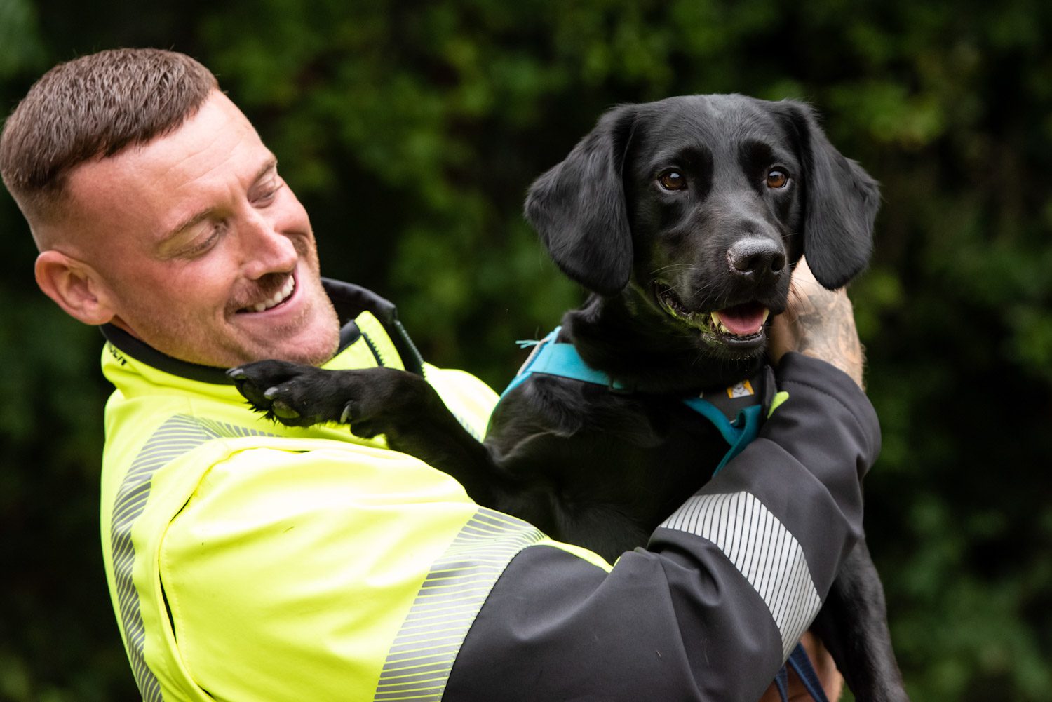 black labrador cross being held by his handler who is wearing hi-viz